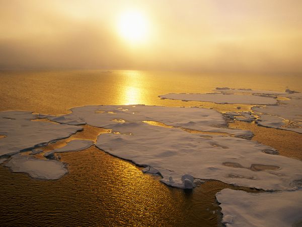 Global Warming
